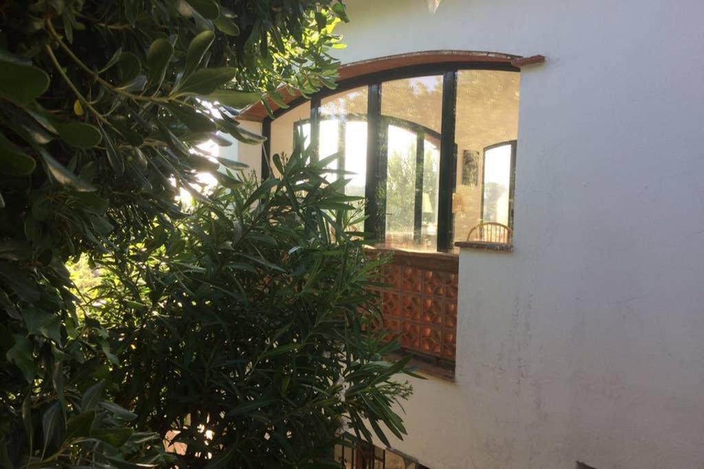 Jolie Villa Vue Mer - 100Km Au Nord De Barcelone - بالس المظهر الخارجي الصورة